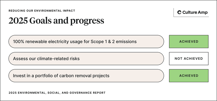 2025 goals and progress
