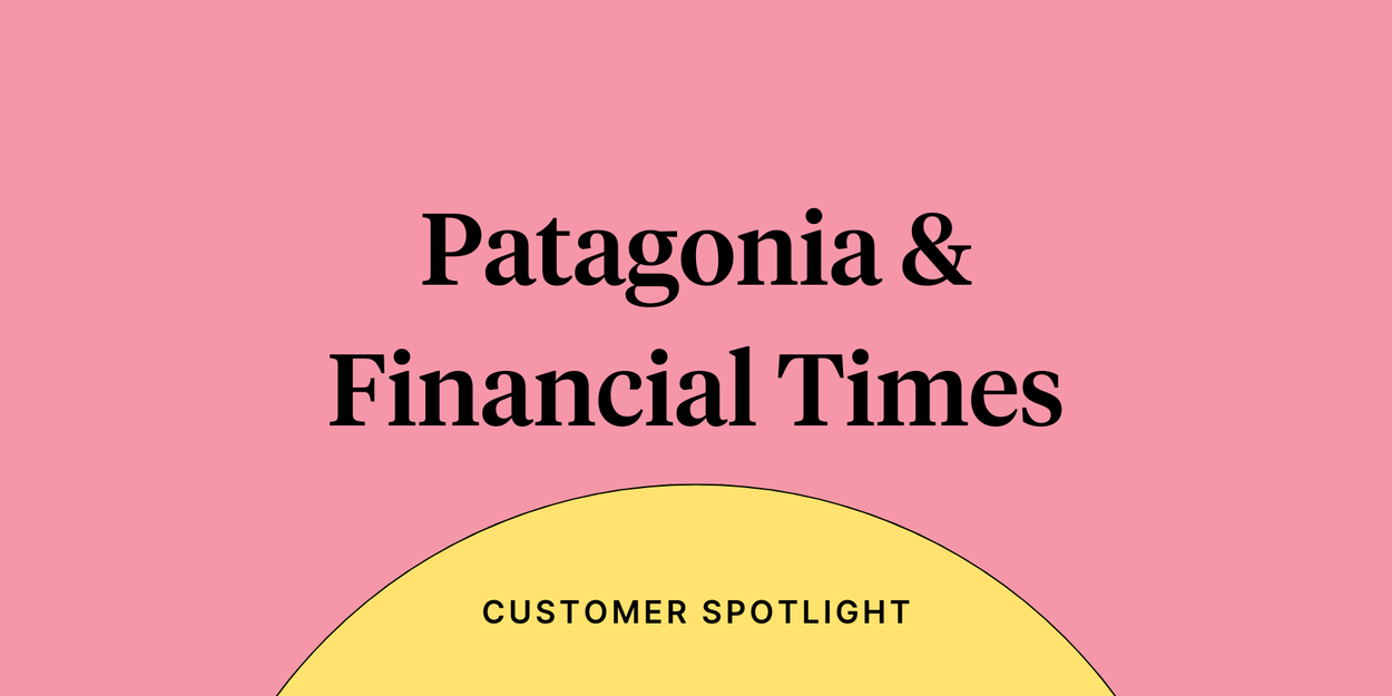 Blog header reading "Patagonia & Financial Times"